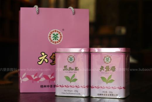 中茶六堡茶 2019年陈化 老八中紫罐（2023年出厂，250g） 商品图0