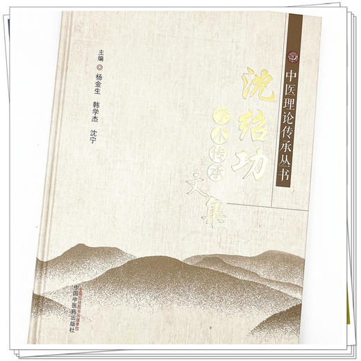 沈绍功学术传承文集 杨金生 韩学杰 沈宁 著 中医理论传承丛书  中国中医药出版社  商品图4