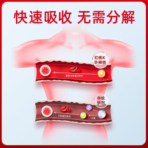 红桃K 生血剂补血口服液(口服液20支+片剂20片)  成人孕妇中老年补铁补血 改善贫血送礼佳品 商品图2