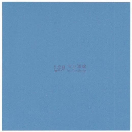 友谊729虎贲大师蓝海绵省队专用粘性反胶套胶 商品图1