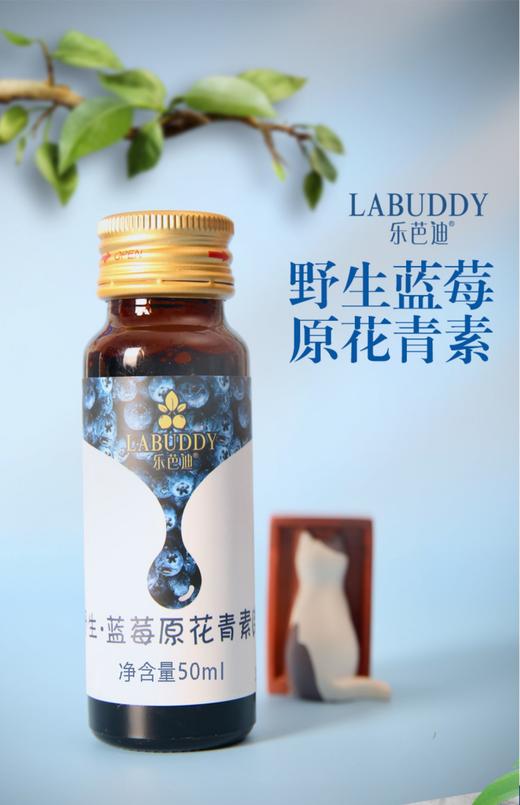 蓝莓乐芭迪野生蓝莓原浆浓缩汁口服液大兴安岭蓝莓花青素孕妇儿童饮品 商品图0