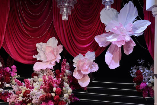 彩芍（运费自理） 商品图2