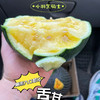 【小羽 黄西瓜】小羽黄西瓜/黑骑士，台湾引种，布丁小兰西瓜，黄瓤黑籽，口感嫩甜多汁，水份超级足！ 商品缩略图11