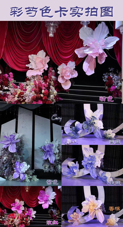 彩芍（运费自理） 商品图7