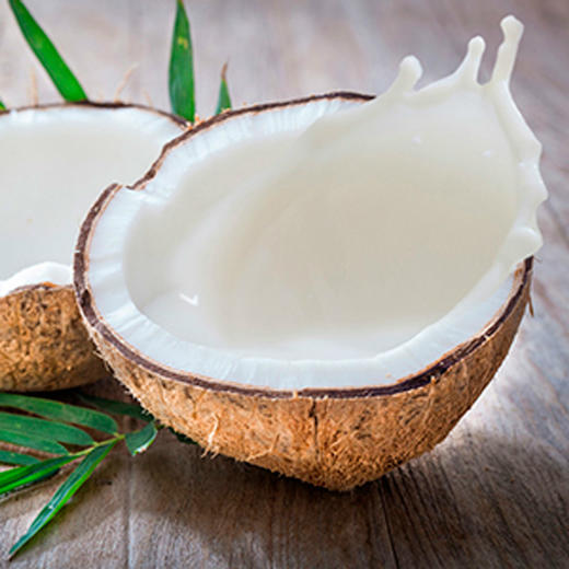 【保税仓】OGX蔻姬丝椰子油滋养亮泽洗发水385ml 商品图1