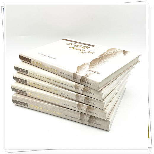 【全5册】沈绍功+周超凡+孟庆云+陆广莘+阎孝诚 李维贤 孔令诩学术传承文集 中医理论传承丛书 中国中医药出版社  商品图3