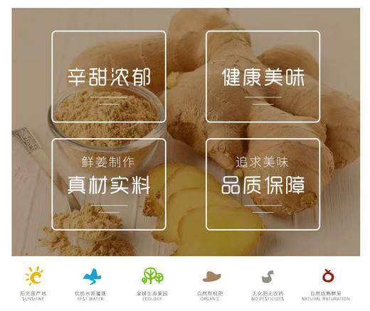 【红糖生姜片】 原汁原味 古糖姜片 口感辛甜 肉厚饱满  500g/包 商品图3