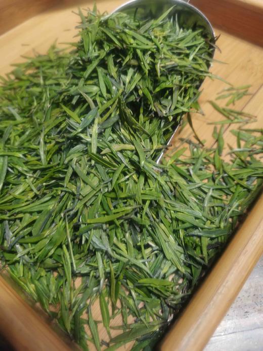 1200竹叶青 商品图3