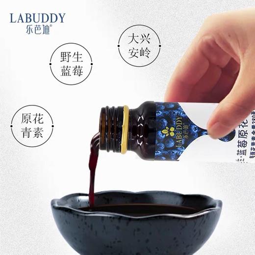 蓝莓乐芭迪野生蓝莓原浆浓缩汁口服液大兴安岭蓝莓花青素孕妇儿童饮品 商品图10
