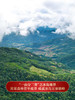 【冰岛地界】2023年冰岛地界600年古树纯料高端玩家追求之物普洱茶生茶357克茶饼，拍5发6，拍20发25加送单株 商品缩略图1
