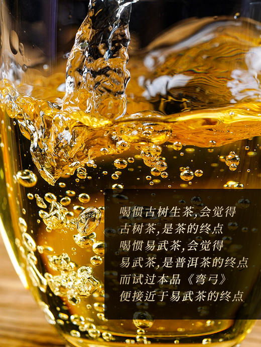 【弯弓】2023年700年古树纯料生茶今年只采瑶族片区高杆古树更核心更好喝拍5发6拍20发25加送单株 商品图6