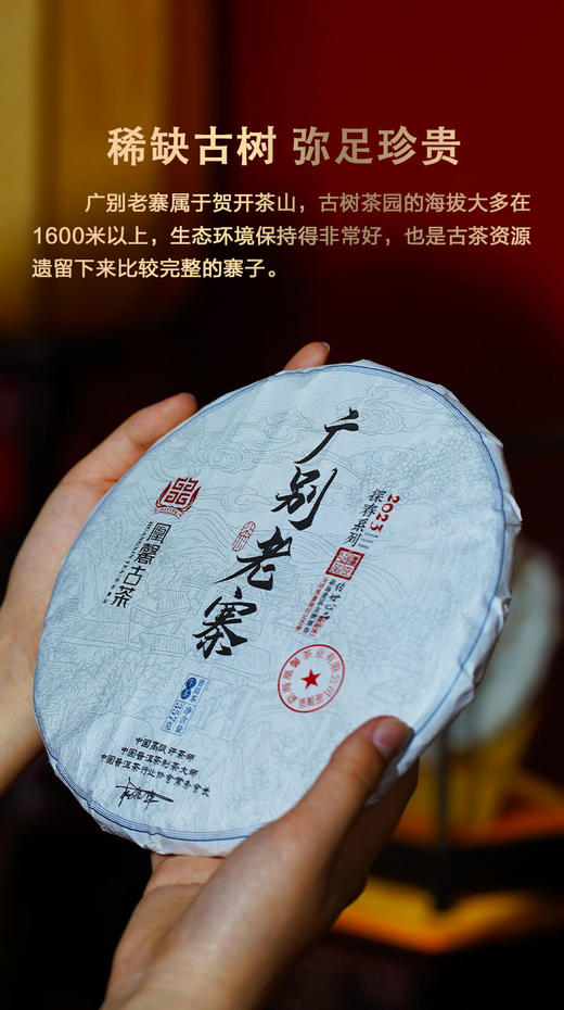 凰馨古茶2023年广别老寨357克生茶探春系列 古树普洱茶 商品图4