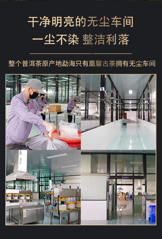 凰馨古茶2023年广别老寨357克生茶探春系列 古树普洱茶 商品图9