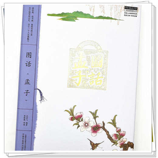 图话《孟子》  中医人必读国学经典丛书 龙若飞 著 中国中医药出版社 中医师承学堂丛书 书籍 商品图4