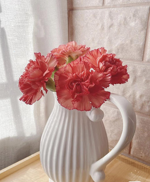 【国产康乃馨】火焰康  18-20支/扎 商品图3