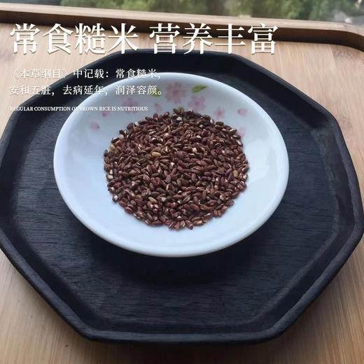 【红穗糙米茶】珍稀粳米老种 柴火铁锅炒制  无添加 入口顺滑 满口生津 温补不燥 600克/袋 商品图2