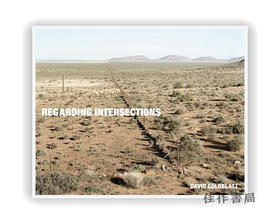 David Goldblatt: Regarding Intersections / 大卫·戈德布拉特:关于十字路口