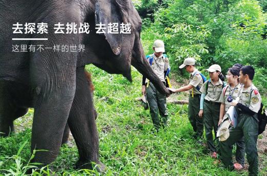 【烟台站】2024夏令营V18 商品图1