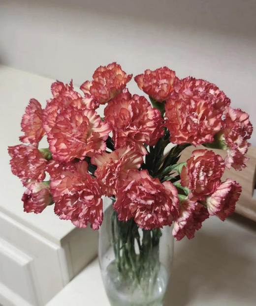 【国产康乃馨】火焰康  18-20支/扎 商品图2