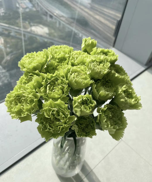 【国产康乃馨】绿康  18-20支/扎 商品图0