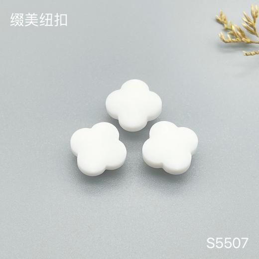 S5507(整包购买) 商品图0