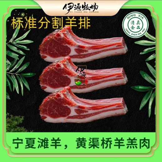 宁夏滩羊羊羔肉羊排500g*2包包装大气高端送礼煎烤炖汤烧烤 红焖 烤肉 商品图2