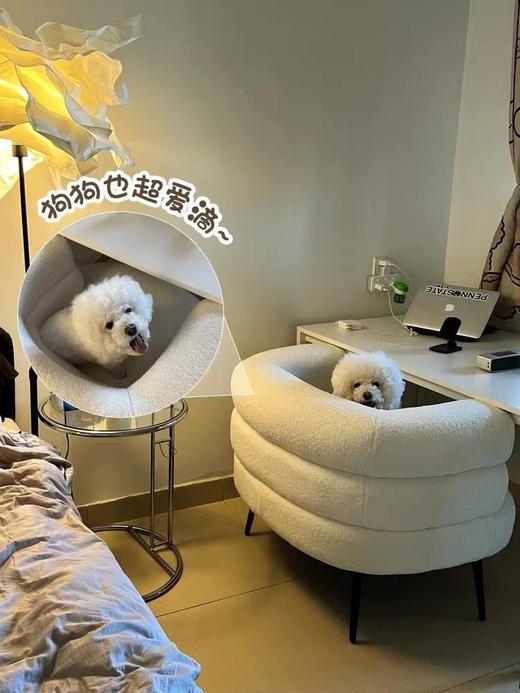 北欧现代羊羔绒单人沙发椅卧室网红ins休闲椅简约小户型阳台座椅 商品图7