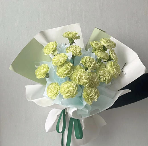 【国产康乃馨】绿康  18-20支/扎 商品图3