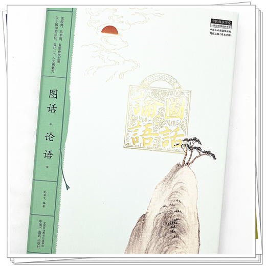 图话《论语》 中医人必读国学经典丛书 龙若飞 著 中国中医药出版社 中医师承学堂丛书 书籍 商品图4