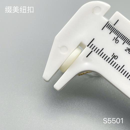 S5501(整包购买) 商品图7