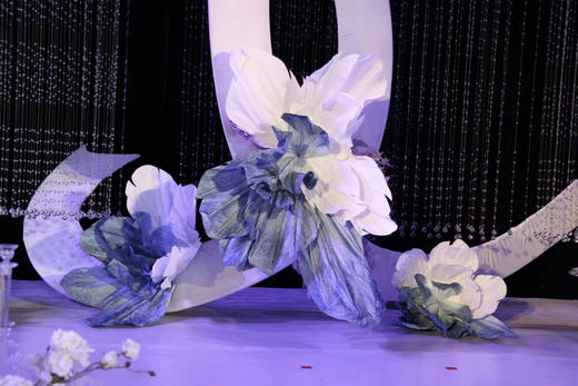 彩芍（运费自理） 商品图4