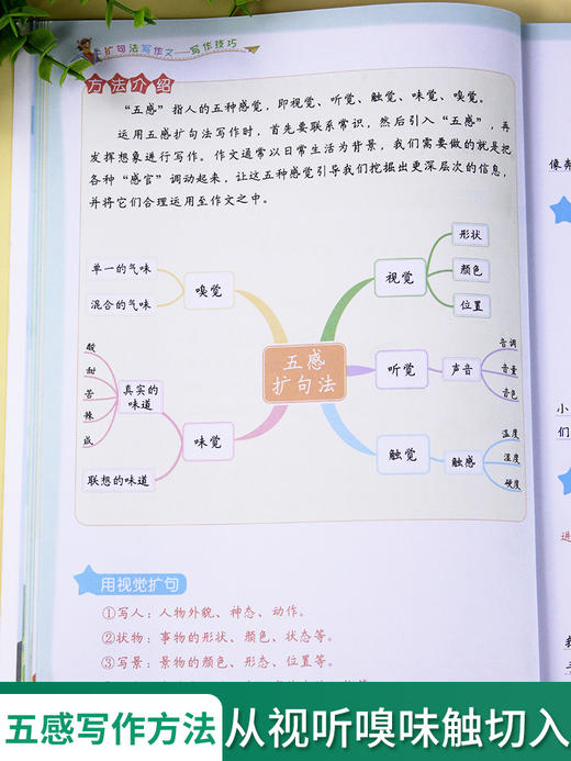 【斗半匠】扩句法写作技巧3-6年级五感法作文 商品图4