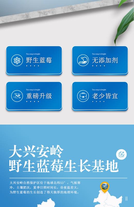 蓝莓乐芭迪野生蓝莓原浆浓缩汁口服液大兴安岭蓝莓花青素孕妇儿童饮品 商品图1