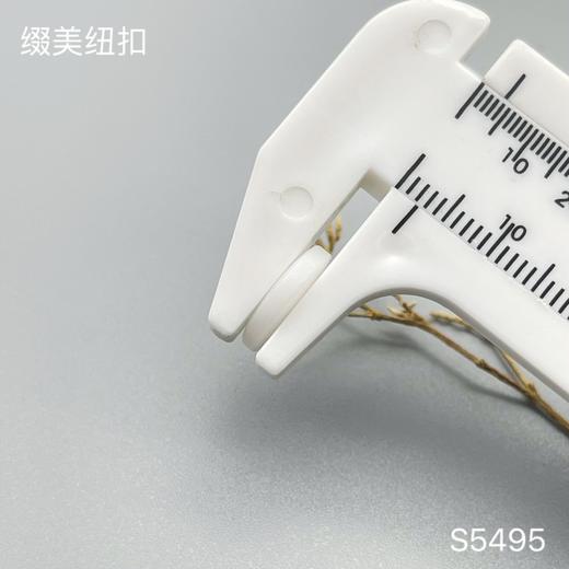 S5495(整包购买) 商品图6