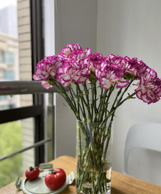 【国产康乃馨】紫边康  18-20支/扎 商品图3