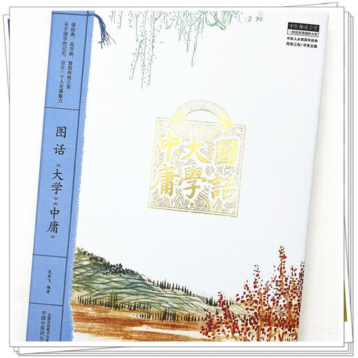 图话《大学》《中庸》  中医人必读国学经典  龙岩飞 著 中国中医药出版社 中医师承学堂丛书  书籍 商品图4