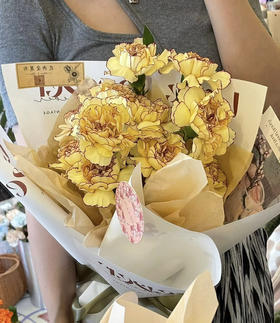 【国产康乃馨】黄紫 18-20支/扎