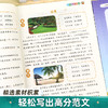 【斗半匠】修辞法写作文方法技巧3-6年级五感法作文 商品缩略图4
