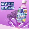 新奇士  黑加仑380ml*15瓶 商品缩略图1