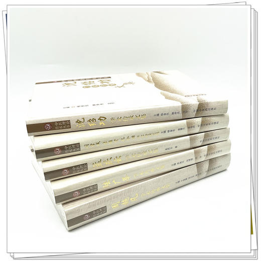 【全5册】沈绍功+周超凡+孟庆云+陆广莘+阎孝诚 李维贤 孔令诩学术传承文集 中医理论传承丛书 中国中医药出版社  商品图2
