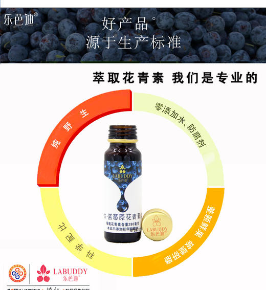 蓝莓乐芭迪野生蓝莓原浆浓缩汁口服液大兴安岭蓝莓花青素孕妇儿童饮品 商品图13