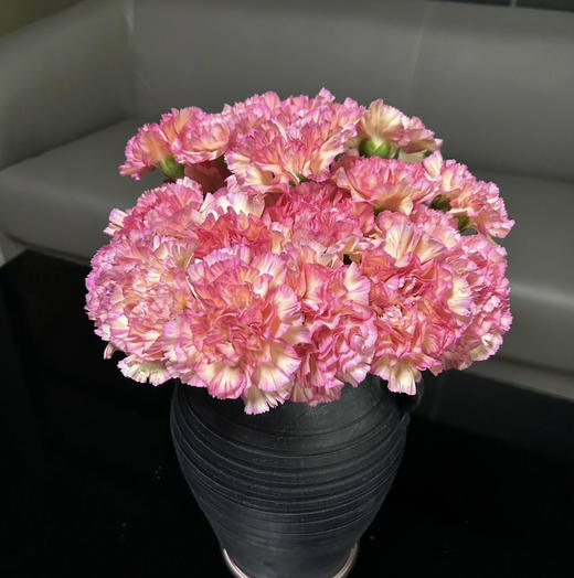 【国产康乃馨】水蜜桃（小桃红）18-20支/扎 商品图1