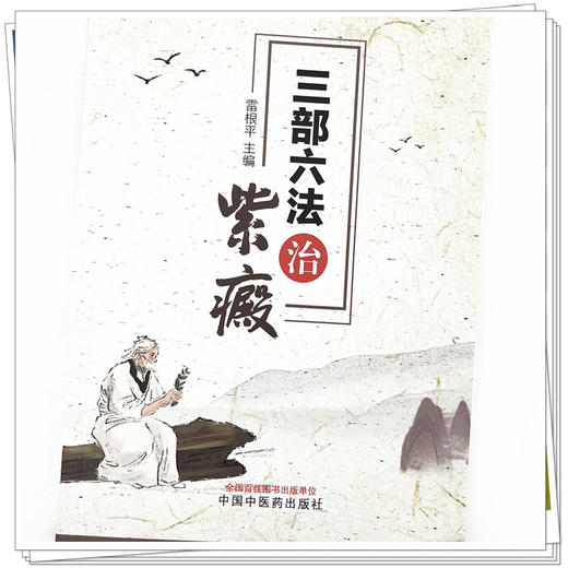三部六法治紫癜 雷根平 著 中国中医药出版社 皮肤病科学书籍 商品图4