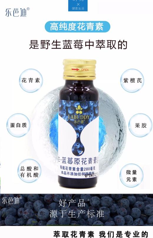 蓝莓乐芭迪野生蓝莓原浆浓缩汁口服液大兴安岭蓝莓花青素孕妇儿童饮品 商品图9