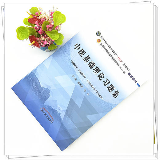 中医基础理论习题集 郑洪新 著 全国中医药行业高等教育十四五规划教材配套用书第十一版中国中医药出版社刷题练习题考研 商品图2