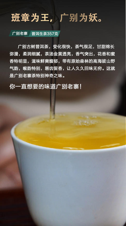 凰馨古茶2023年广别老寨357克生茶探春系列 古树普洱茶 商品图7
