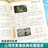【斗半匠】镜头法写作文方法技巧素材积累3-6年级五感法作文 商品缩略图4