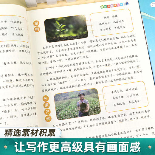 【斗半匠】镜头法写作文方法技巧素材积累3-6年级五感法作文 商品图4