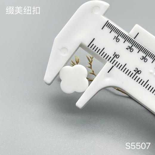 S5507(整包购买) 商品图3