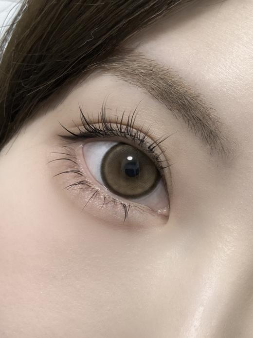 Sondercon品牌-S4Brown阿宝棕 商品图3